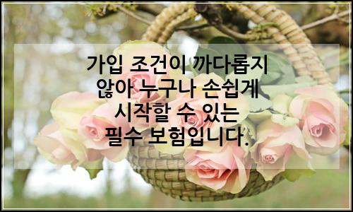 오늘의 이미지