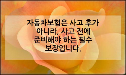 오늘의 이미지