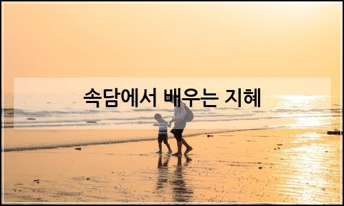 오늘의 이미지