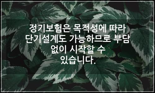 오늘의 이미지