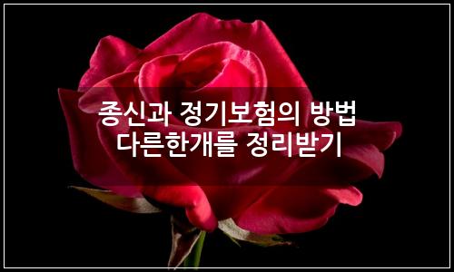 오늘의 이미지