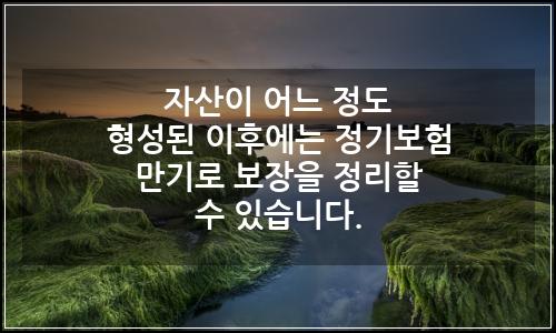 오늘의 이미지