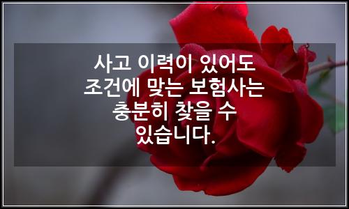 오늘의 이미지