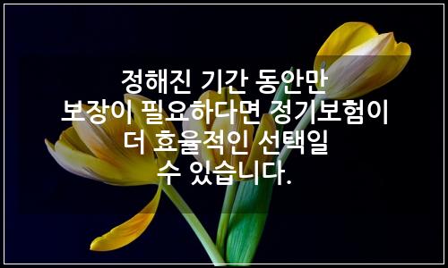 오늘의 이미지