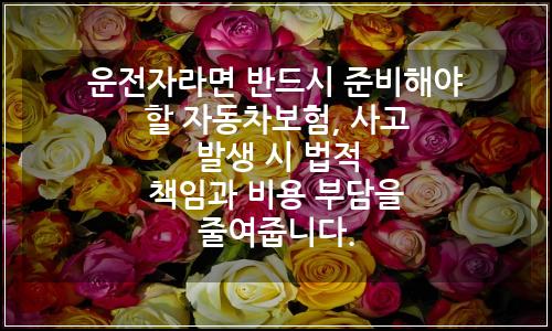 오늘의 이미지