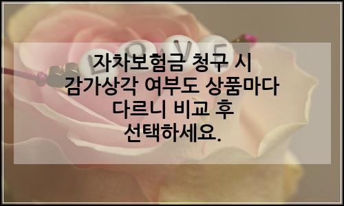 오늘의 이미지