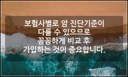 오늘의 이미지