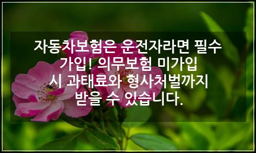 오늘의 이미지