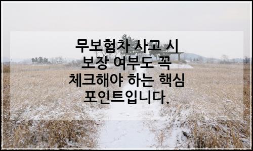 오늘의 이미지