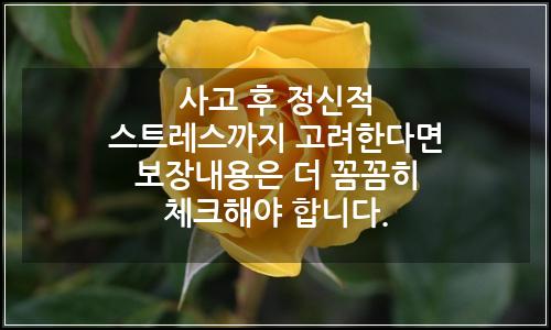 오늘의 이미지