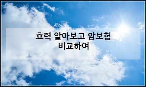 오늘의 이미지