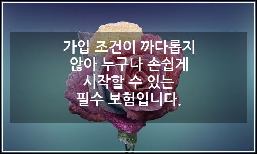 오늘의 이미지