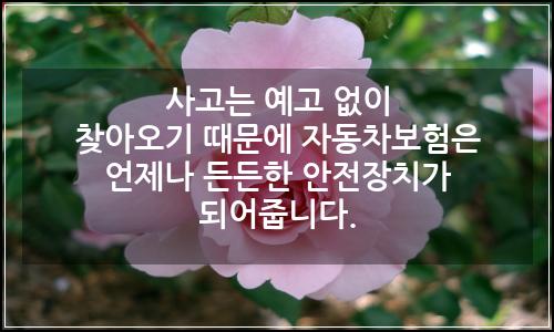 오늘의 이미지