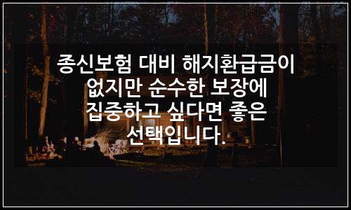 오늘의 이미지
