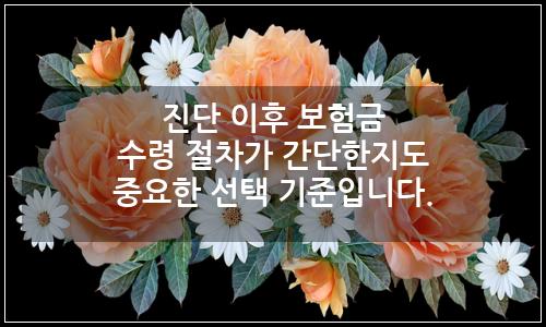 오늘의 이미지