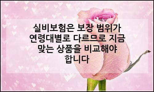 오늘의 이미지