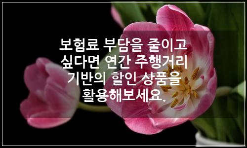 오늘의 이미지