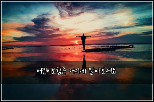 ์ด๋ฆฐ์ด๋ณดํ์ ์ด๋์ ์์๋ณด์ธ์