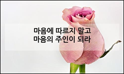 오늘의 이미지