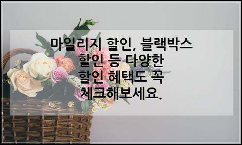 오늘의 이미지