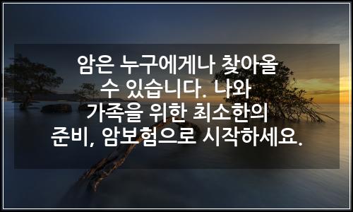 오늘의 이미지