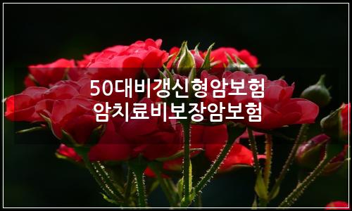 오늘의 이미지