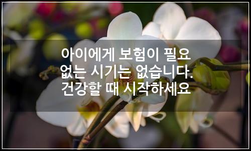오늘의 이미지