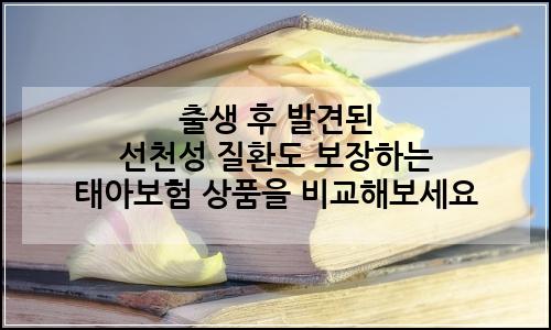 오늘의 이미지