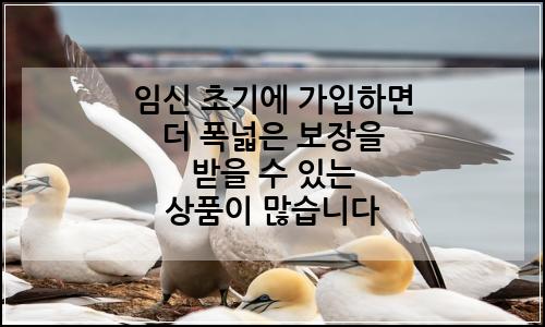 오늘의 이미지
