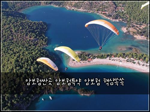 μ보νμΌκ³³ μ보ννΉμ½ μ보ν ν΅μ¬μμ