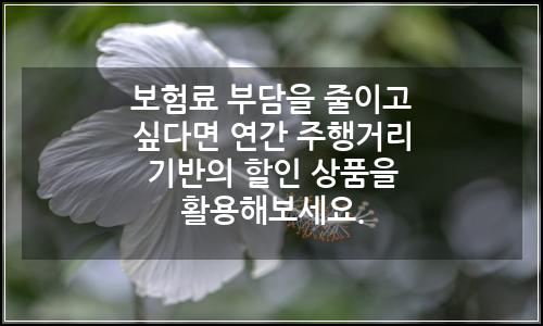 오늘의 이미지