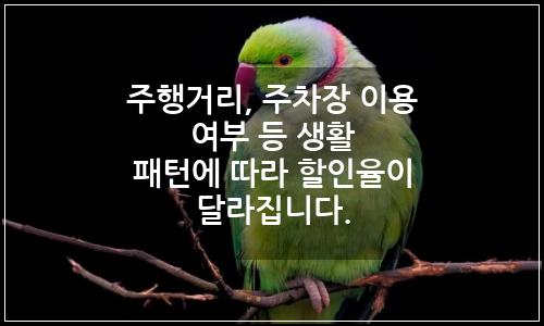 오늘의 이미지