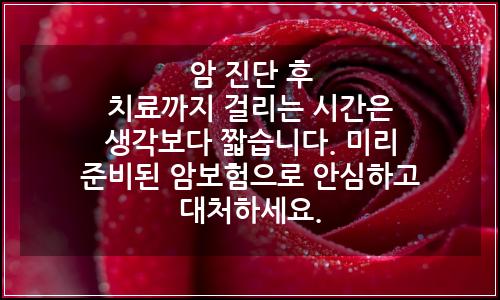오늘의 이미지