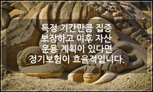 오늘의 이미지