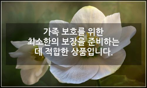오늘의 이미지