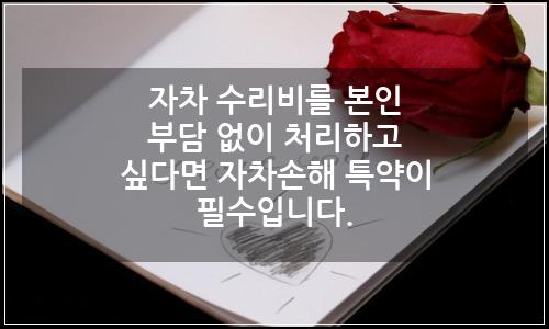 오늘의 이미지