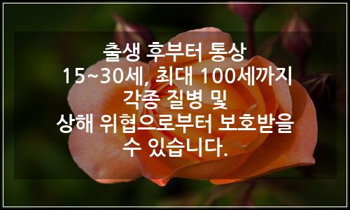 오늘의 이미지