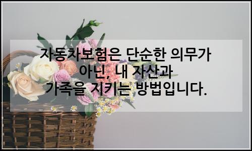 오늘의 이미지