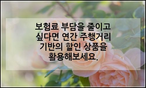 오늘의 이미지