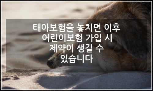 오늘의 이미지