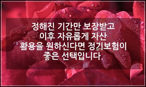 오늘의 이미지