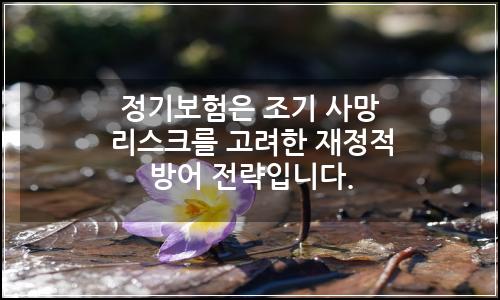 오늘의 이미지