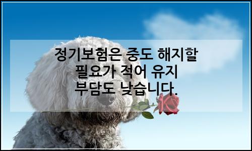 오늘의 이미지