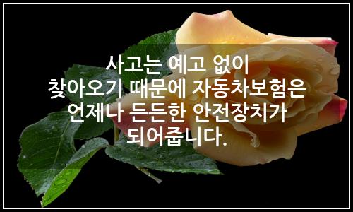 오늘의 이미지