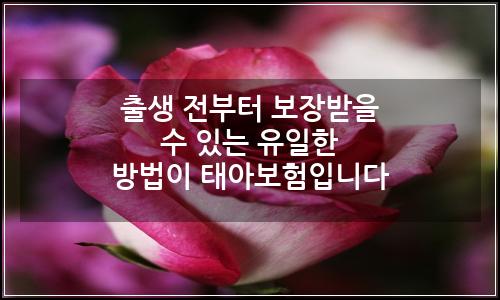 오늘의 이미지
