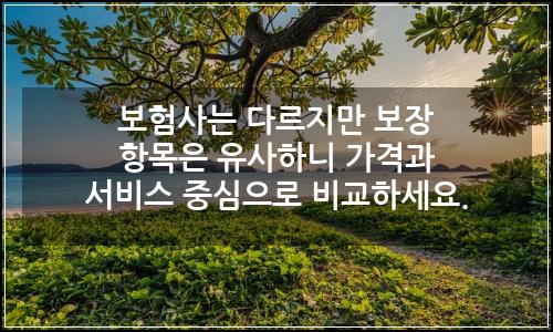 오늘의 이미지