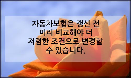 오늘의 이미지