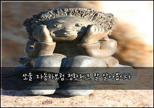 쏘울 자동차보험 정확체크  잘 알아봅시다