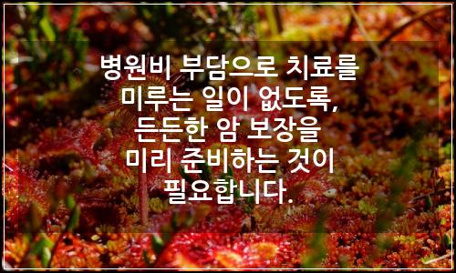 오늘의 이미지