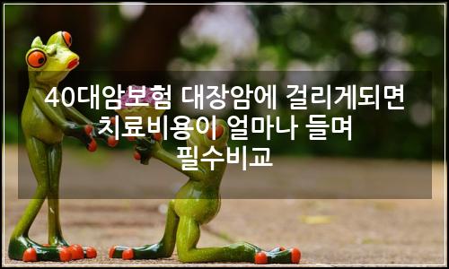 오늘의 이미지